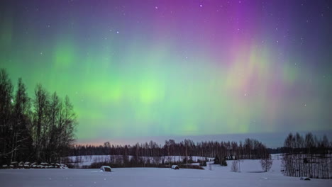 Aurora-Borealis-Mit-Vielen-Farben-Am-Himmel-über-Einer-Weißen-Schneelandschaft-Mit-Bäumen