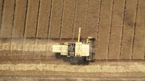 Imágenes-De-Vídeo-Aéreas-De-Una-Cosechadora-En-Un-Campo-De-Cereales