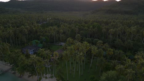 Perfect-aerial-view-flight-palm-tree-beach-koh-kood-island-Thailand-morning-sunrise-2022