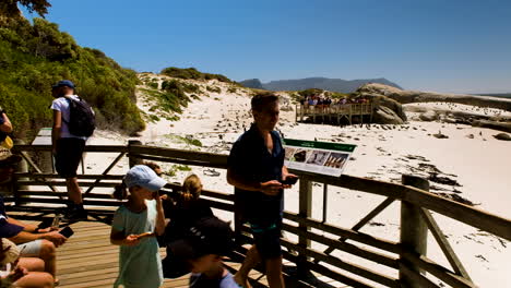 Turistas-Con-Niños-En-Plataformas-De-Madera-De-La-Playa-De-Cantos-Rodados-Viendo-Pingüinos