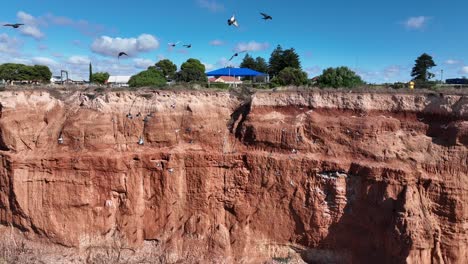 Drone-shot-flying-past-red-cliffs-along-the-Ardrossan-coast-line