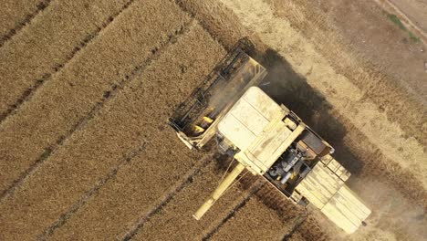 Toma-Aérea-De-La-Máquina-Cosechadora-Para-Cosechar-El-Trabajo-Del-Campo-De-Trigo