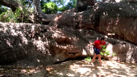 Tracking-shot-of-a-male-tourist-climbing-down-a-large-Baobab-tree-on-Kwale-Island,-Zanzibar