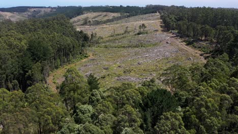 Deforestation-and-tree-logging-aerial-shot-over-cleared-land,-Victoria,-Australia