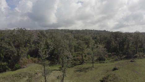 Baumbedeckter-Berg-Im-Ländlichen-Ackerland-Auf-Der-Großen-Insel-Hawaii-Aus-Der-Luftaufnahme