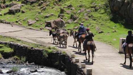 African-family-on-horseback-drive-donkeys-across-river-bridge,-Lesotho