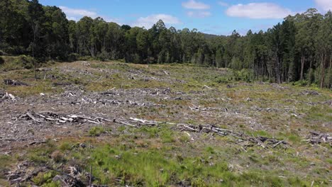 Cleared-land-with-tree-logs,-deforestation-and-logging,-Victoria,-Australia