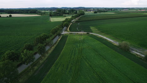 Senderos-De-Tractores-Sobre-Las-Verdes-Tierras-De-Cultivo-En-Bélgica-En-Un-Día-Nublado