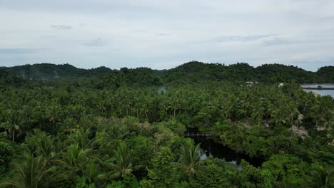 Descending-Aerial-View-of-quaint-island-jungle-with-small-river-and-surrounding-palm-trees-in-Virac,-Catanduanes