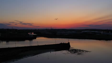 Seagull-swoops-through-pink-and-orange-sky-over-Nimmo's-Pier-Galway-Ireland
