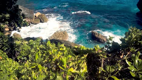 Pan-reveal-shot-of-a-rocky-beach-full-of-vegetation-during-a-sunny-day-in-Bali