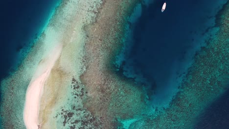 Tropisches-Riff-Auf-Den-Malediven