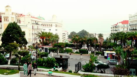 Footage-of-Algeria,-Discover-the-lush-greenery-of-Algiers'-Jardin-d'Essai-du-Hamma-and-other-enchanting-parks-and-gardens-with-these-stunning-clips