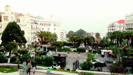 Aufnahmen-Von-Algerien.-Entdecken-Sie-Mit-Diesen-Atemberaubenden-Clips-Das-üppige-Grün-Des-Jardin-D&#39;Essai-Du-Hamma-In-Algier-Und-Anderer-Bezaubernder-Parks-Und-Gärten