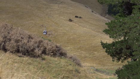 Gondola-car-appears-and-disappears-on-it's-downward-trip---Heathcote-Valley,-Christchurch