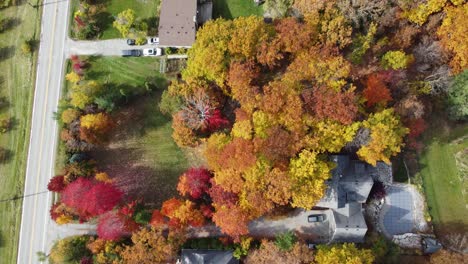 Countryside-homes-surrounded-by-beautiful-Fall-colours,-Overhead-Aerial