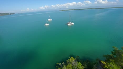 Catamarans-moored-in-bay-of-Los-Haitises-National-Park,-Dominican-Republic