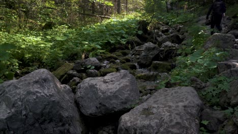 15.-Juli-2022-Zakopane,-Polen:-Tatra-Nationalpark-Mit-Touristischem-Wanderweg