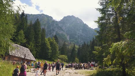 15-July-2022-Zakopane,-Poland:-Polana-Strążyska-Valley-in-the-Tatra-Mountains-Several-Hiking-Trails-to-Wyżnia-Kondracka-Przełęcz,-Kuźnice,-Czerwona-Przełęcz-,-Mała-Łąki-Valley,-Siklawica-Waterfall