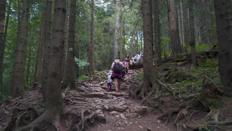 15-July-2022-Zakopane,-Poland:-Tatra-Mountains-National-Park-Tourist-Hiking-Trail-to-the-Top-of-Sarnia-Skala-Peak,-Poland