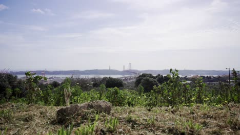 Ponte-25-de-Abril-suspension-bridge-in-Lisbon-with-greenery-in-the-foreground