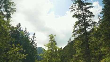 15-De-Julio-De-2022-Zakopane,-Polonia:-Parque-Nacional-De-La-Montaña-Tatra-Con-Sendero-Turístico