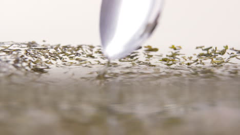 Spoon-spinning-green-tea-leaves-in-water-in-100-FPS