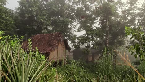 Indigene-Hütte-Im-Dschungel-Von-Papua---Dolly-Verließ-An-Einem-Nebligen-Morgen