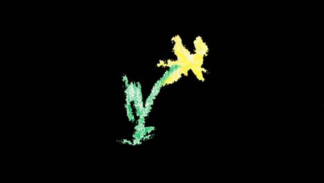 flower-hand-drawn-animation-with-Screen-Blending-Mode-stock-video