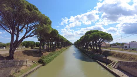 long-canal-between-a-grove-of-trees-in-the-south-of-France