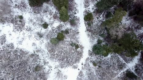 Explorers-walk-along-snowy-pathway-Aerial-tracking-shot-from-birdseye-view