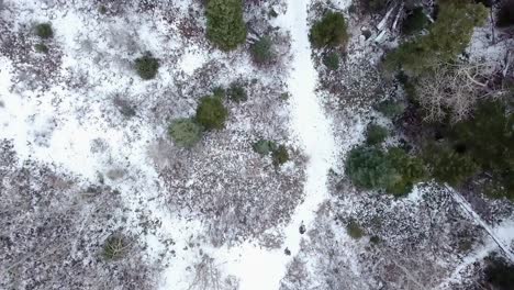 Gradual-zoom-out-over-adventurers-walking-along-snow-covered-path-in-forest