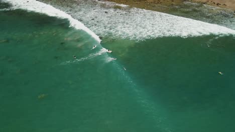 Surfista-Atrapando-Olas-A-Lo-Largo-De-La-Playa-De-Agua-Caliente-En-Nueva-Zelanda