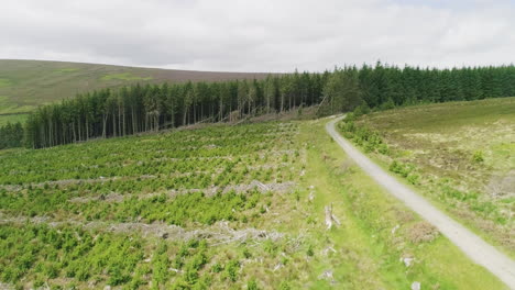 Majestic-green-fields-and-forest-of-Glencree-Ireland-mountain-roadway