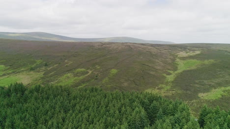 Descending-aerial-partial-reveal-of-Glencree-forest-and-majestic-green-mountains