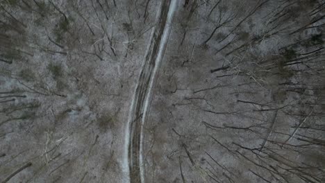 Ein-Blick-Von-Oben-Direkt-über-Einer-Unbefestigten-Straße-Mit-Schnee-Und-Hohen-Kiefern,-Einige-Davon-Ohne-Blätter