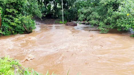 Static-shot-of-the-fast-turbulent-muddy-river-in-the-Caimito-district,-Panama