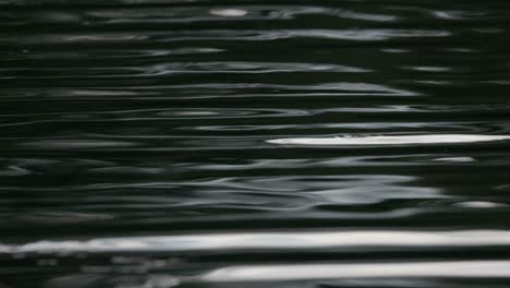 Ripples-and-reflections-on-the-lake