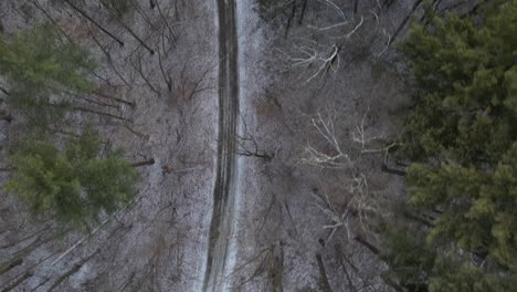 A-top-down-view-over-a-dirt-road-with-snow-and-tall-pine-trees,-some-bare-with-no-leaves