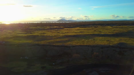 ángulo-De-Drones-De-Ovejas-Pastando-En-Campos-En-Islandia-Al-Atardecer-Con-Montañas-En-La-Distancia