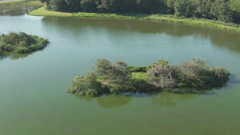 Drone-aerial,-Bird-islands-on-a-fresh-water-lake-with-green-algae-water