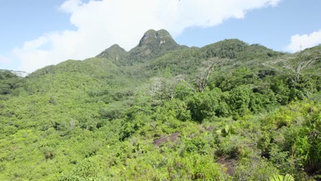 Tiro-De-Drone-Cerca-De-Roca-De-Granito-Que-Muestra-La-Montaña-Más-Alta-De-Seychelles--Morn-Seychellois