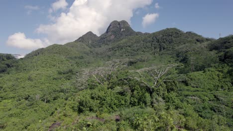 Drohnen-Seitenaufnahme-Höchster-Berg-Der-Seychellen,-Morgen-Seychellen