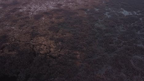 Winter-river-marsh-lands-with-dark-cold-waters-and-snowy-grasses
