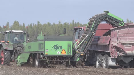 Potato-harvesting-machine-unloading-potatoes-into-red-trailer-being-pulled-by-tractor