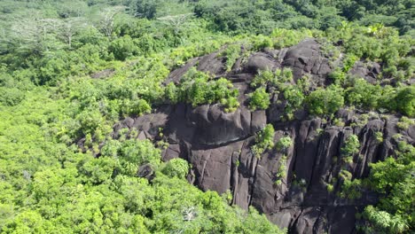 Drone-reveal-shot-of-forest-and-rock-boulders,-Mahe-Seychelles