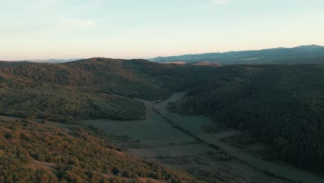 Drohnenblick-über-Einen-Wald-Und-Ein-Tal