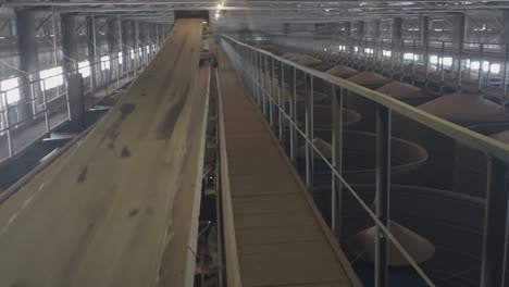 Working-Belt-Conveyor-and-Hoppers-Full-of-Grain