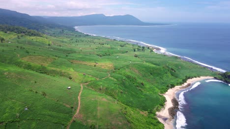 Schöne-Aussicht-Auf-Ruhige-Aussicht-Mit-Meeresstrand-Und-Landwirtschaftlichen-Mais-Mais-Reisfeldern-Mit-Berghintergrund-Auf-Der-Insel-Sumbawa,-Indonesien