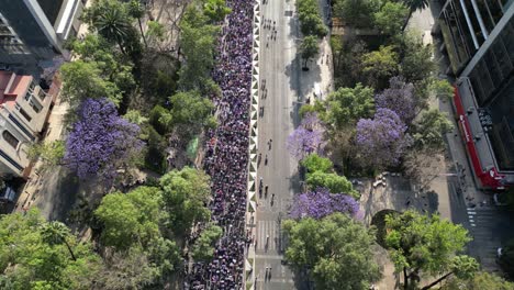 Aerial-view-March-8th-Women's-Day-march,-on-Paseo-de-la-Reforma,-Mexico-City